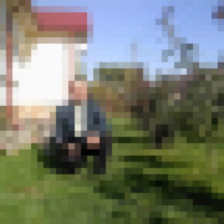 emP5uJEJXc poza anunt